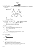 Biology PP2 Ms (1).pdf